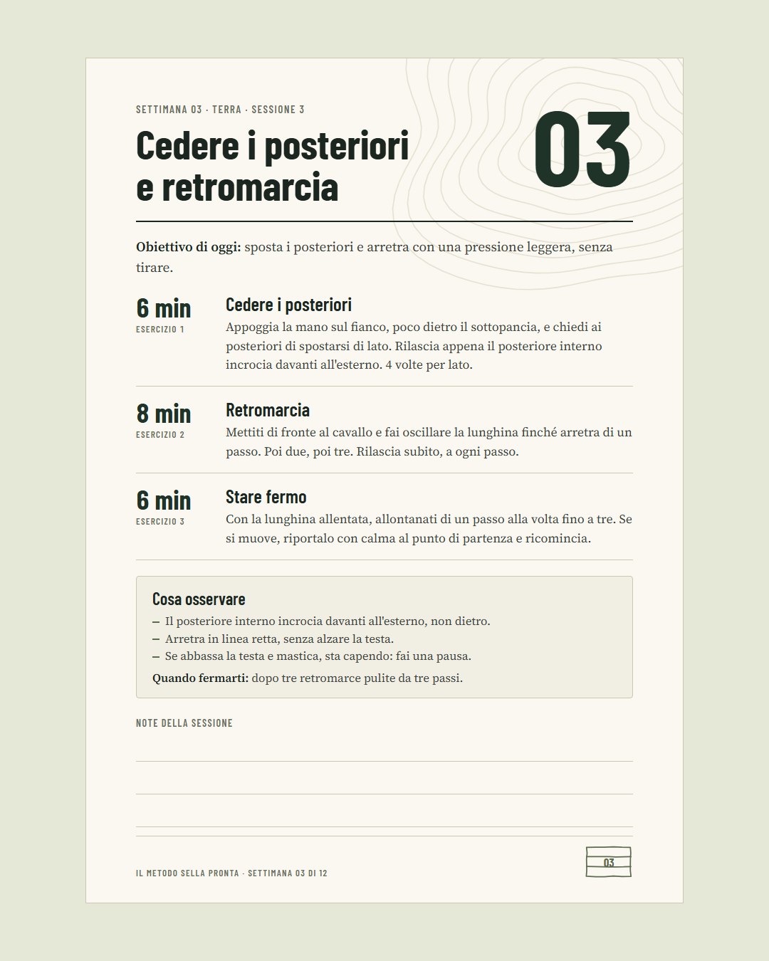 Sella Pronta · 5